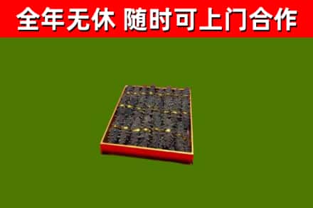 江北回收海参